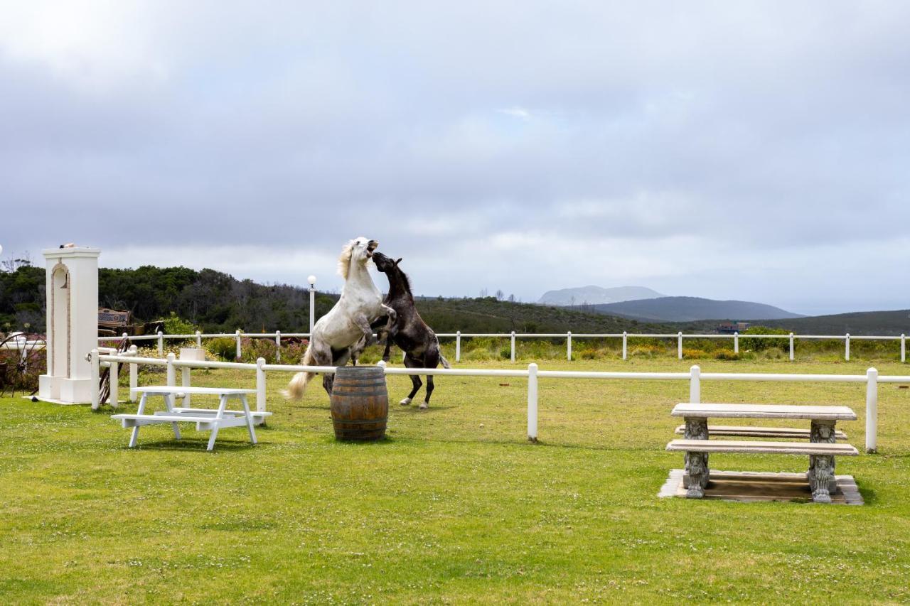 Tniqua Stable Inn Plettenberg Bay Exterior foto