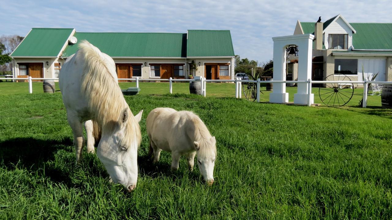 Tniqua Stable Inn Plettenberg Bay Exterior foto