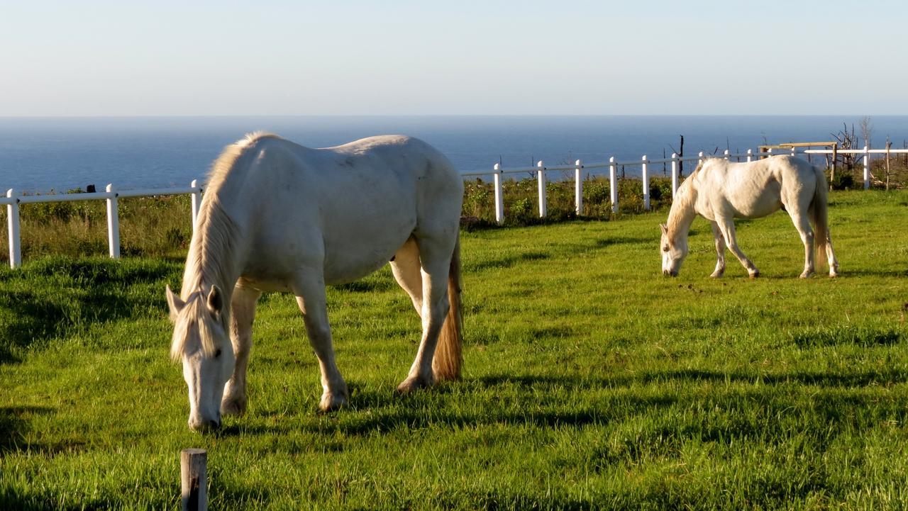 Tniqua Stable Inn Plettenberg Bay Exterior foto