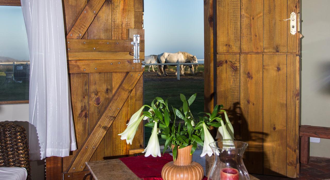 Tniqua Stable Inn Plettenberg Bay Exterior foto